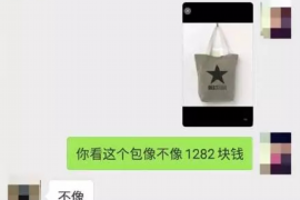 宾川为什么选择专业追讨公司来处理您的债务纠纷？